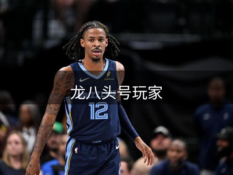 了解龙八头号玩家
